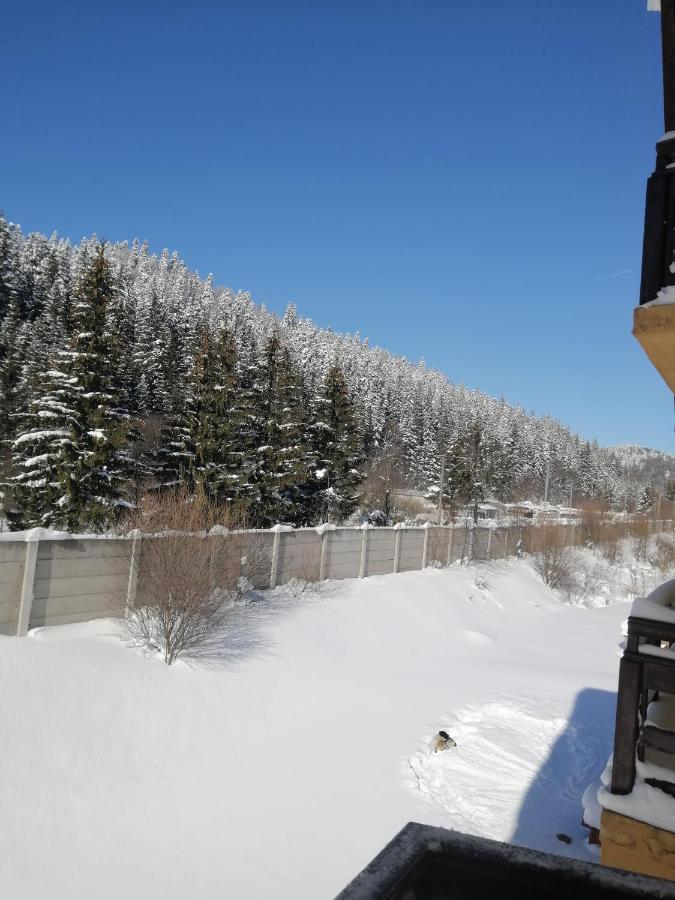 White Horse Hotel Predeal Bagian luar foto